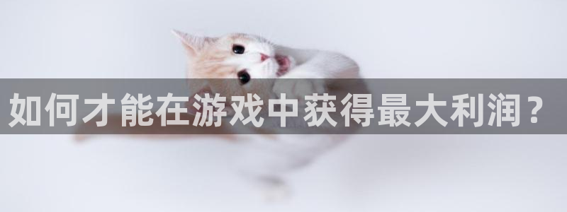 如何才能在游戏中获得最大利润？