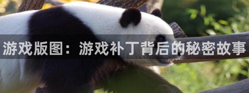 尊龙个人简介资料大全：游戏版图：游戏补丁背后的秘密故事